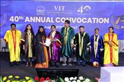 VIT 1 (85)